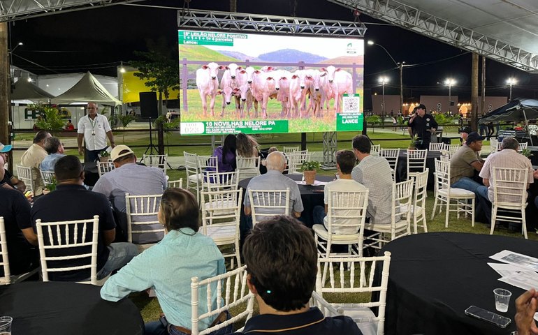 18º Leilão Nelore Positivo cresce 12% faturamento com valorização dos lotes ofertados