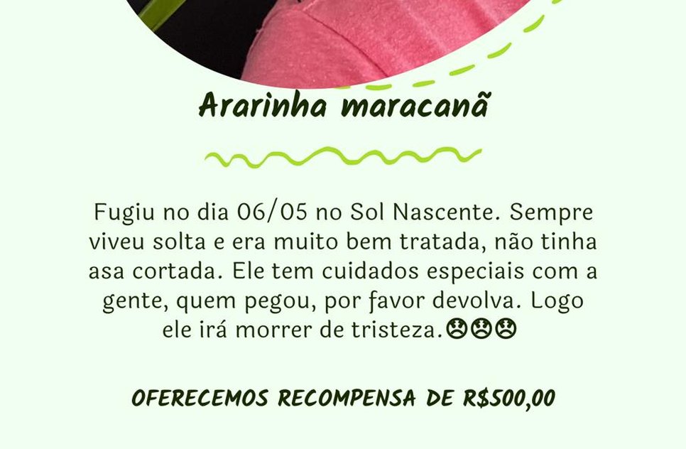 WhatsApp Image 2021-05-19 at 13.18.08.jpeg / Foto: Redes sociais