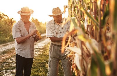 Garantia-Safra autoriza pagamento para mais de 44 mil agricultores familiares