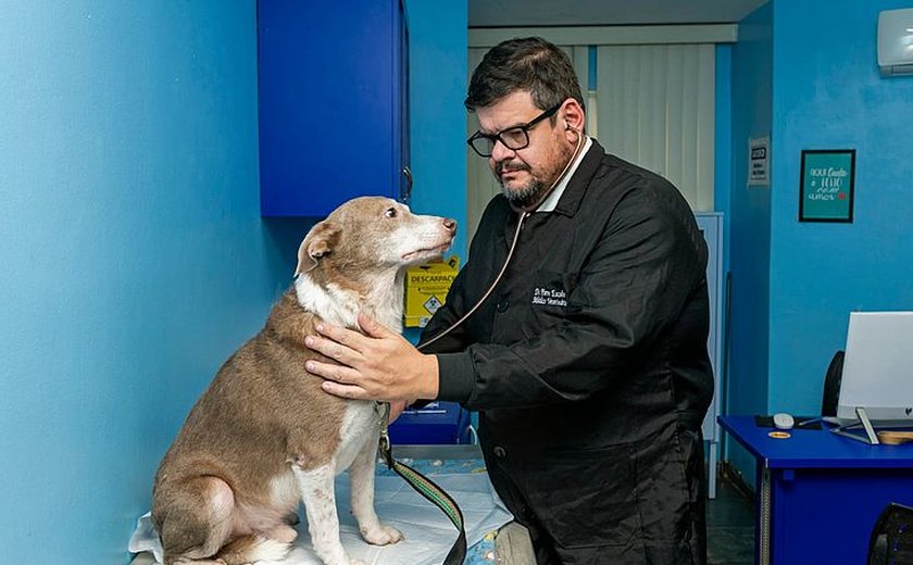 Programa de Apoio aos Animais Completa Quatro Anos