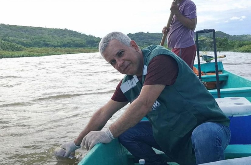 Instituto do Meio Ambiente investiga mortandade de peixes em Jequiá da Praia