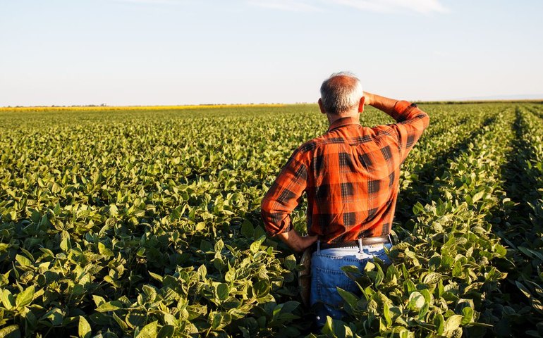 Cepea: queda do preço ao produtor agropecuário nacional supera a do índice da FAO