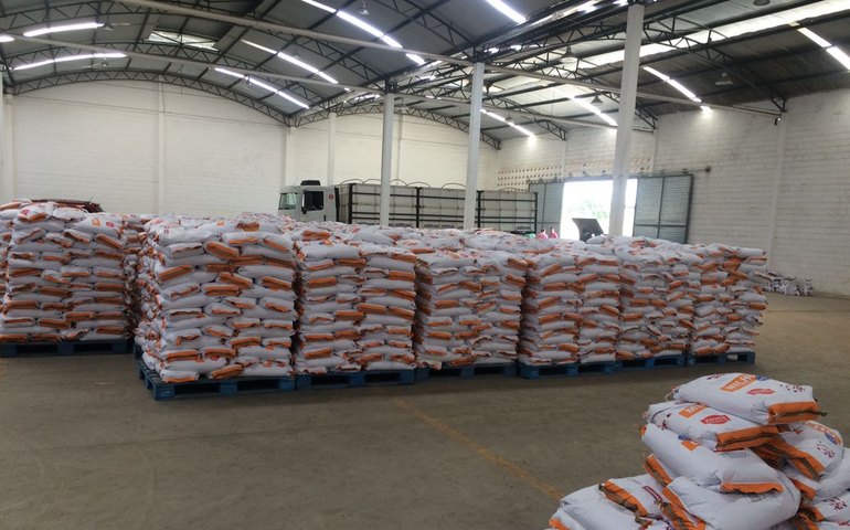 Prefeitura de Palmeira entrega 24,5 toneladas de sementes na sexta