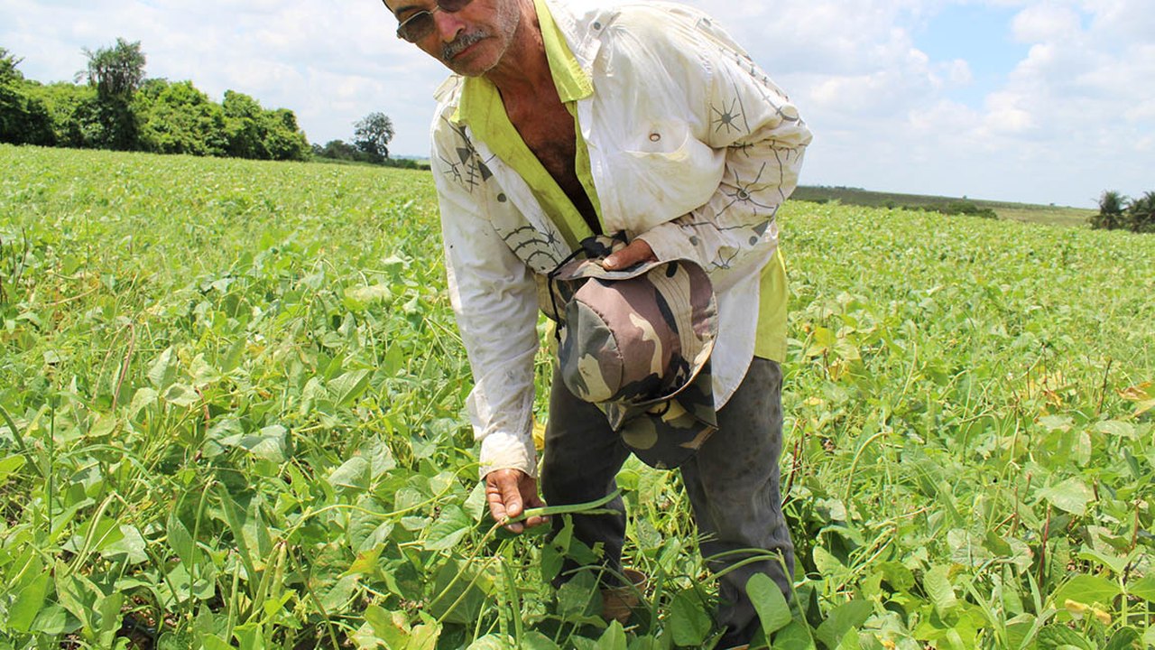 Projeto da Codevasf em Alagoas promove acesso de agricultores familiares a tecnologias de irrigação
