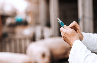Vacinação contra H1N1 está liberada para toda a população em Penedo