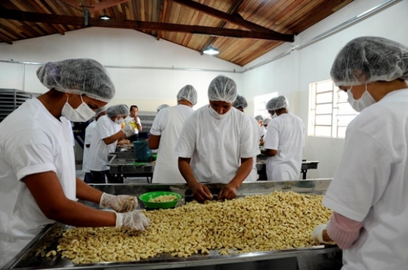 Fábrica de castanha será inaugurada segunda(14), em Estrela de Alagoas