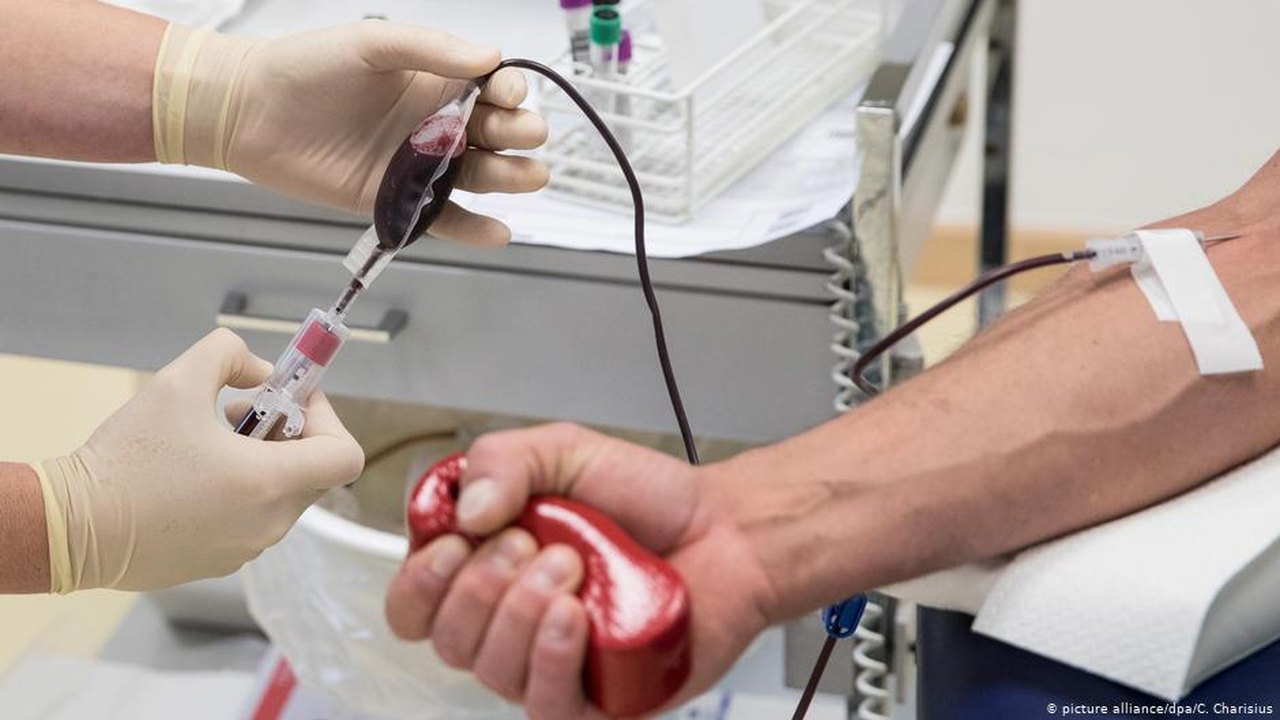 STF anula restrições à doação de sangue por homens gays