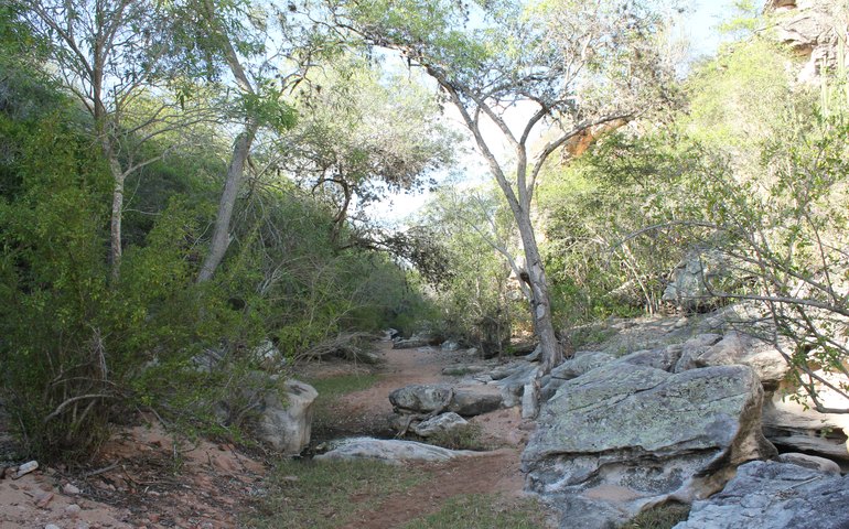 Acesso à água e saneamento básico é mais desafiador nos municípios da região em Alagoas
