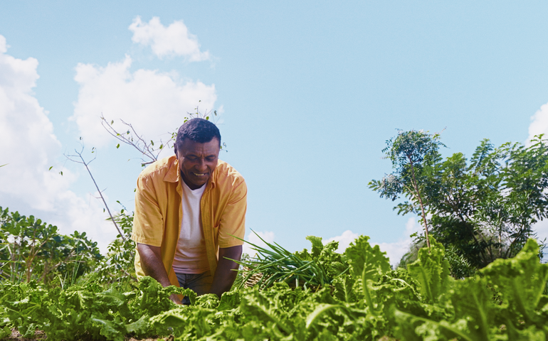 Programa Garantia-Safra está com inscrições abertas para ano agrícola 24/25