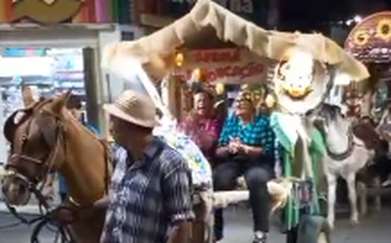 Tradicional desfile de carroças abre os festejos de São João em Palmeira dos Índios