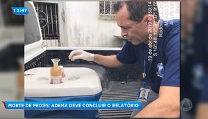 Adema morte peixes