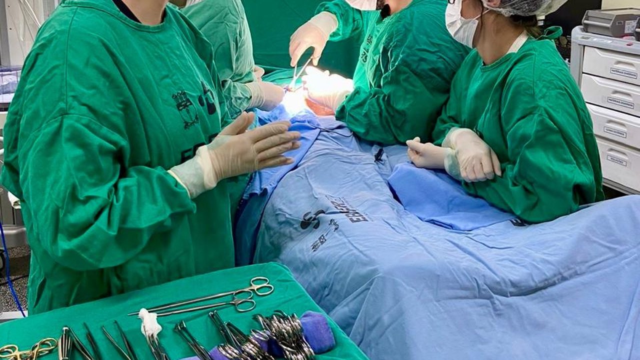 HUPAA-UFAL/Ebserh realiza mutirão com cerca de 400 atendimentos entre exames, cirurgias e consultas com especialistas no dia 13/09