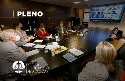Pleno promoveu o julgamento de 244 processos em 2021