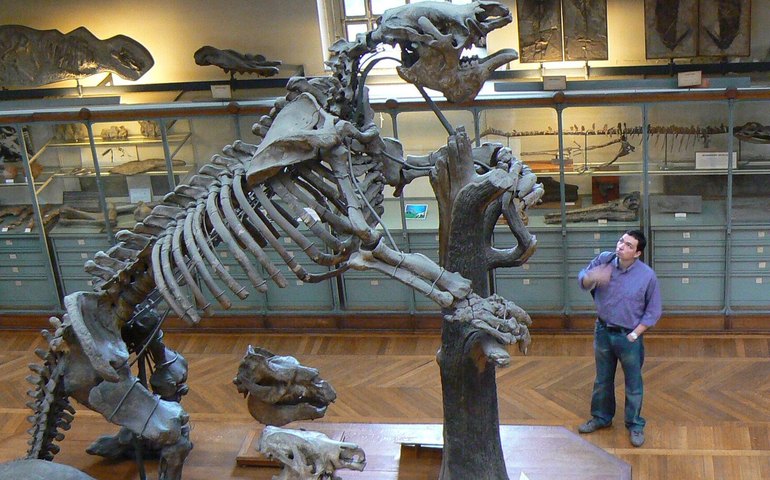 Fêmur de preguiça gigante com 400 mil anos é encontrado por turistas na Argentina