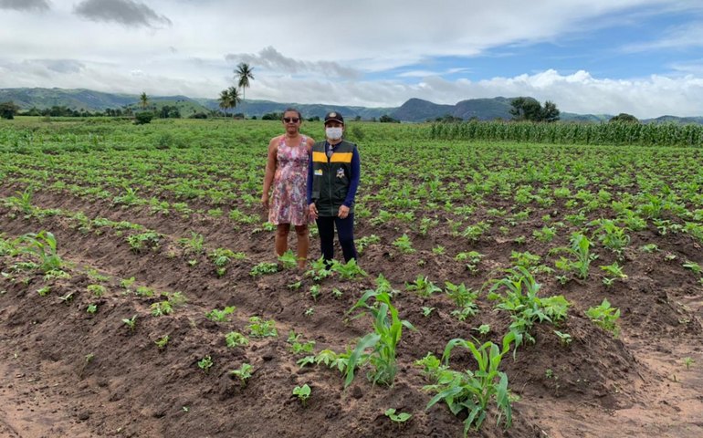 Emater e FAPEAL prorrogam prazo de inscrição para seleção de bolsistas