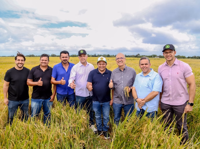 Prefeitura de Penedo e Cooperflores impulsionam economia da zona rural com plantio de arroz na Ponta Mofina