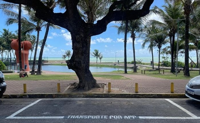 Dois espaços já foram pintados na Avenida Álvaro Otacílio, na Jatiúca