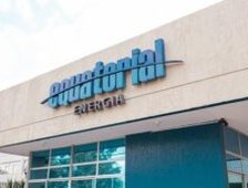 WhatsApp Image 2025 01 24 at 12.20.01 300x168