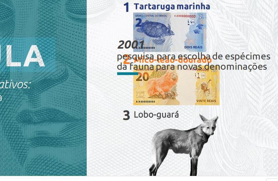 CÉDULA LOBO GUARÁ