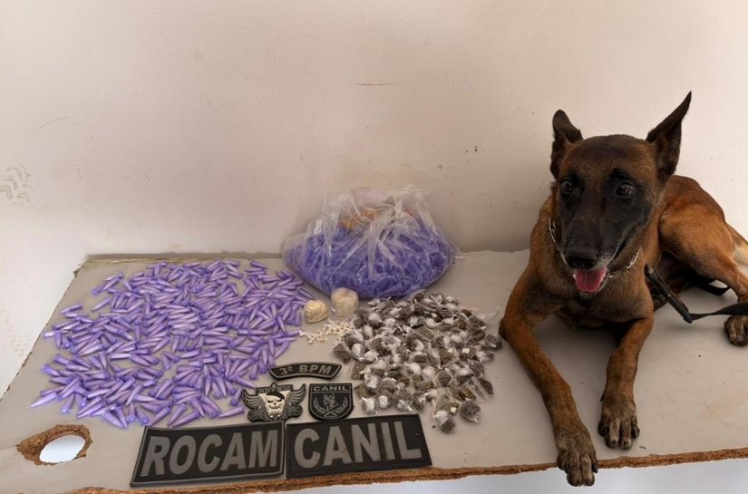 PM apreende drogas prontas para comercialização em Arapiraca