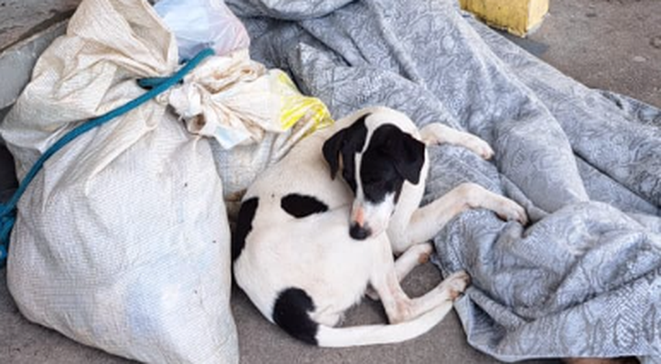 Homem em situação de rua é encontrado morto enquanto dormia com cachorro na Grande Aracaju