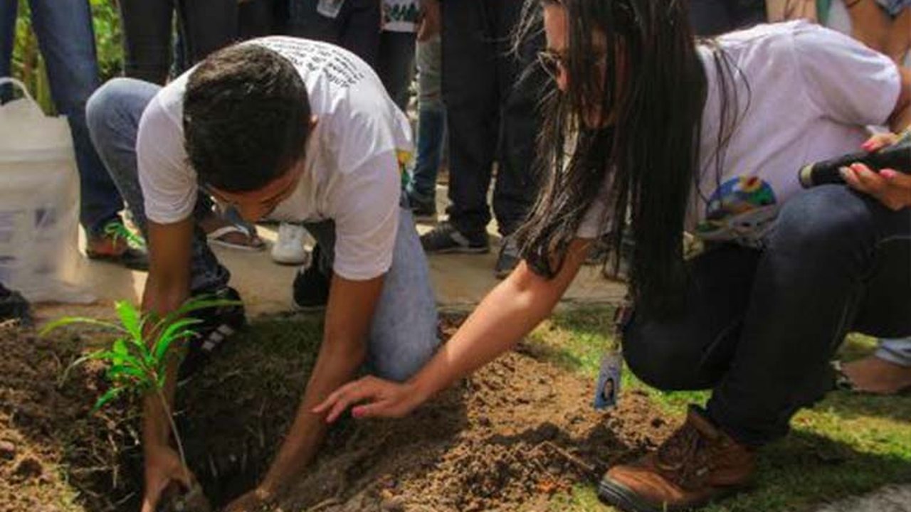 Arapiraca: Estudantes plantam mudas nativas no Bosque das Arapiracas