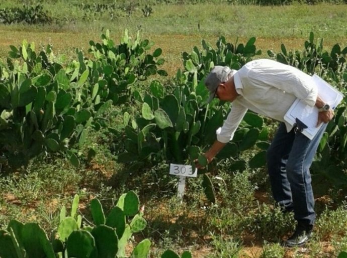 Emater irá colher material de pesquisa em Estação Experimental