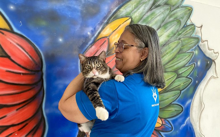 Secretaria da Cidadania está selecionando organizações e protetores de animais domésticos para campanha de adoção responsável