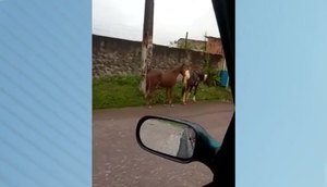 EMSURB afirma que casos como esse devem ser denunciados à empresa. / Foto: Imagem: Reprodução/TV Atalaia