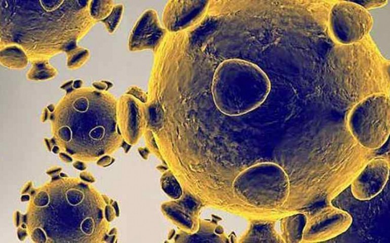 Após &#8216;exterminar&#8217; o coronavírus, Nova Zelândia abranda confinamento