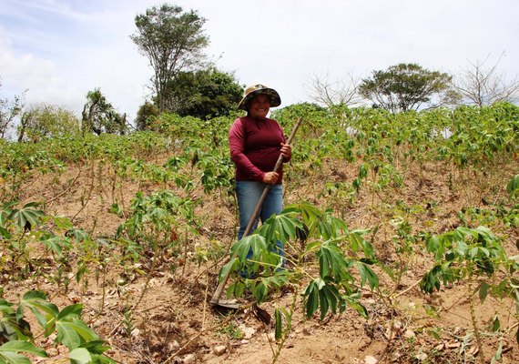 Inscrição no Programa Garantia-Safra 2024/2025 é prorrogada até 04 de abril