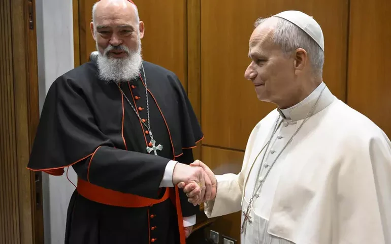 Papa Leão XIV recebe cardeal de Teerã no Vaticano após evacuação