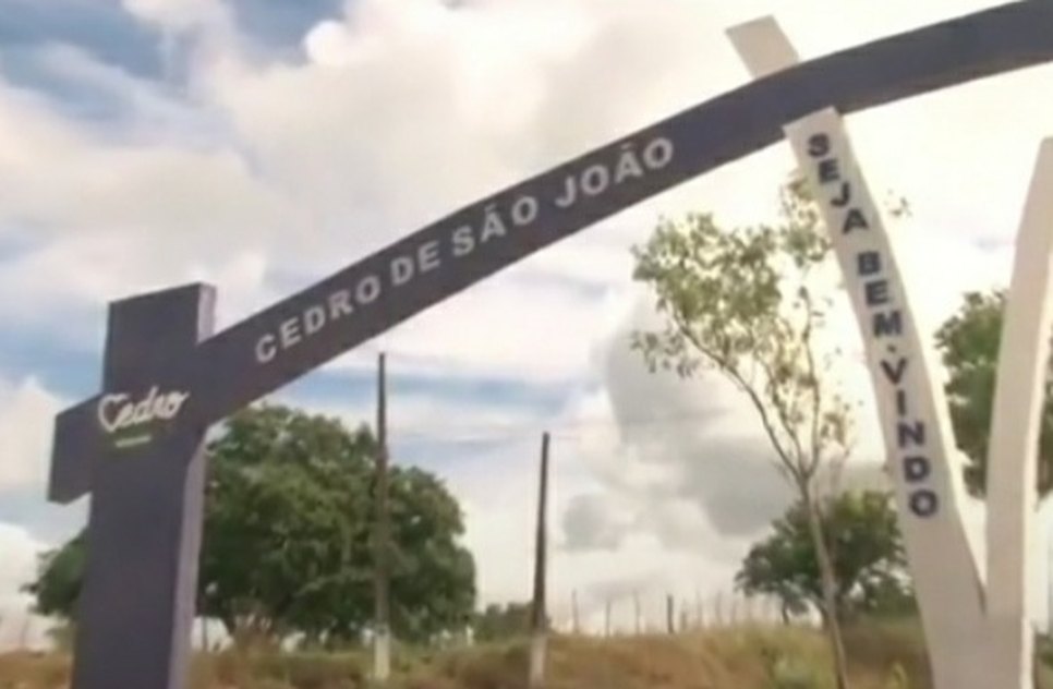 Cedro / Foto: Reprodução: Alese