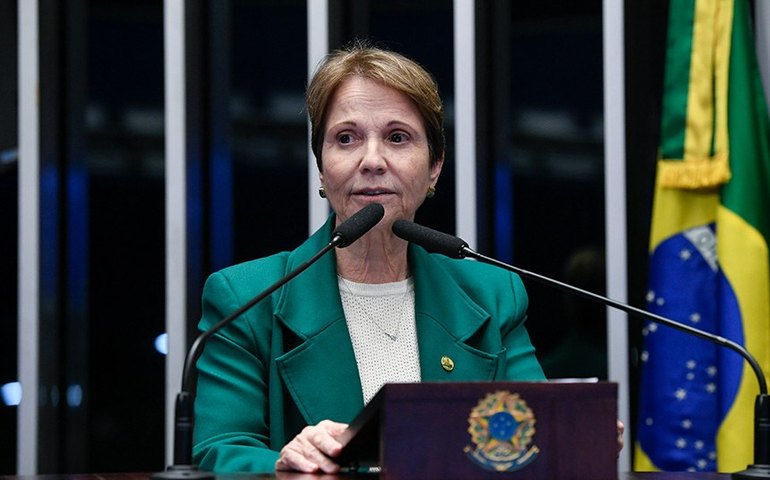 Tereza Cristina critica 'interferência' do Ministério do Meio Ambiente no Pantanal