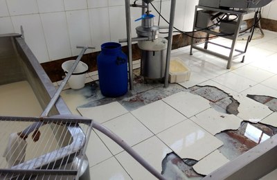 Força-tarefa interdita fábrica de cerâmica e apreende 830 quilos de queijo em laticínio