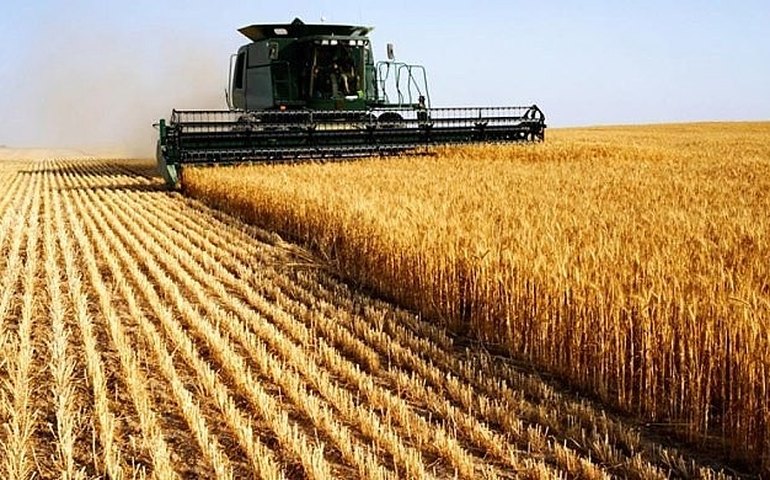 Brasil usa agrotóxicos ou de uso reduzido na Europa, apontam especialistas