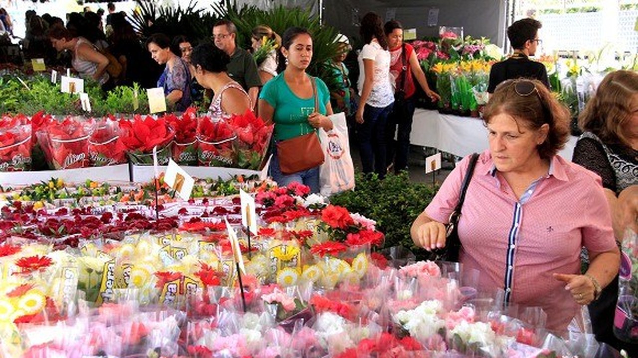 7º Festival das Flores de Holambra é atração em Maceió