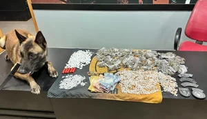 PM apreende cerca de duas mil pedras de Crack. Fonte: Internet