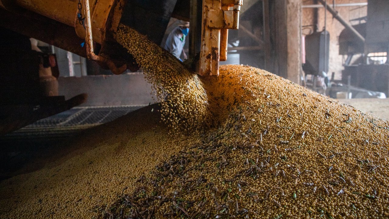 Produção brasileira de grãos deve aumentar apesar do El Niño