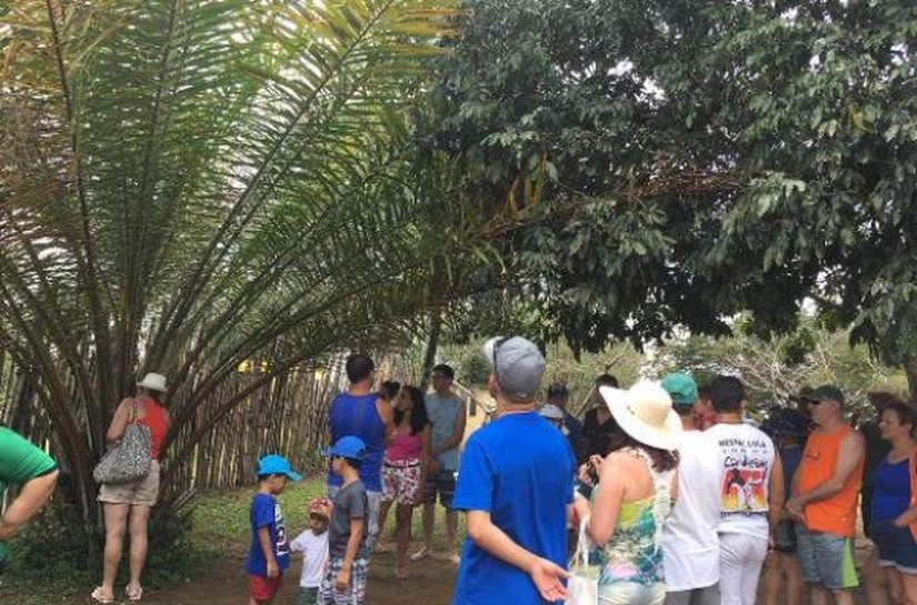 Serra da Barriga se notabiliza como herança cultural em solo alagoano