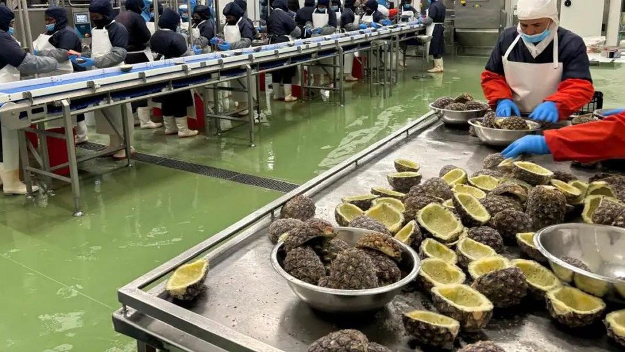 África do Sul amplia exportações para China e BRICS reduzindo dependência de mercados tradicionais