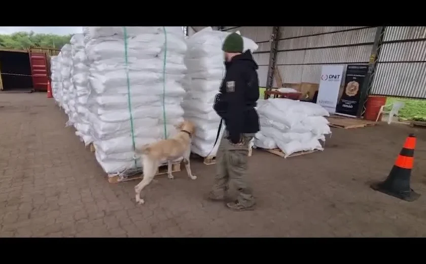 Espanha apreende quatro toneladas de cocaína em sacos de arroz vindos do Paraguai