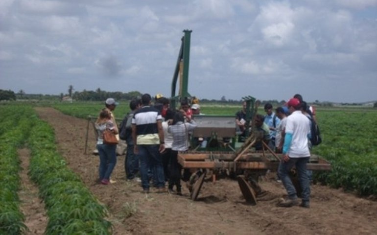 Dia de Campo conduzido pela Emater/AL marca a I Expo Mandioca do Agreste
