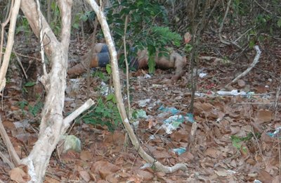 Imagens fortes: corpo é encontrado sem cabeça em Guaxuma