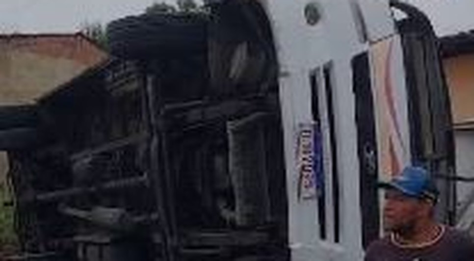 onibus