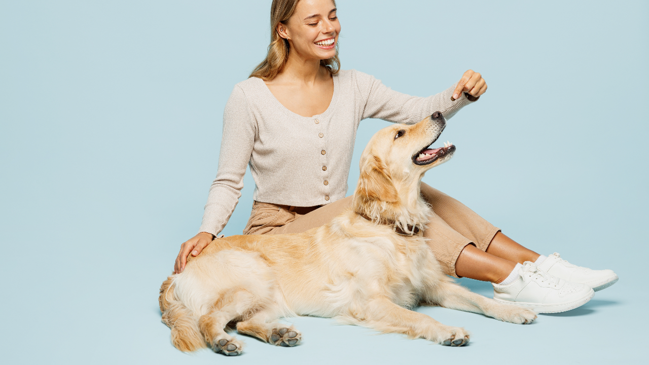 Veja como oferecer petiscos a cães com alergias sem abrir mão dos momentos de carinho