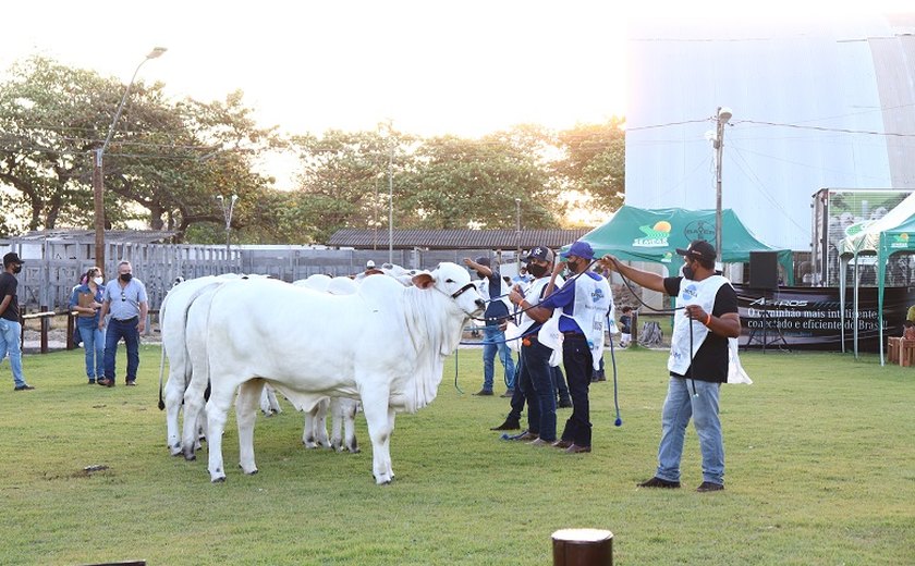 70º Expoagro/AL já é sucesso no agro brasileiro em 2020