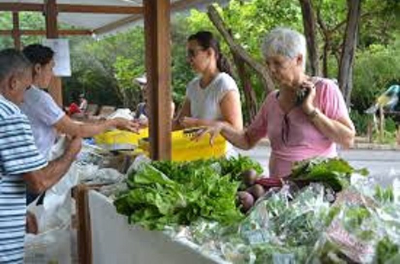 Feira Orgânica na Semarh acontece nesta terça-feira (06)