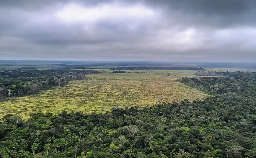 Estudo quer fim do desmatamento legal para zerar gases estufa no país 