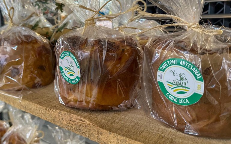 Em Missão na Europa, Alagoas leva produtos da agricultura familiar para expandir mercados internacionais